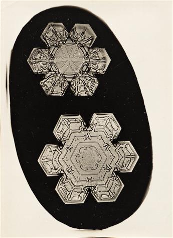 WILSON A. SNOWFLAKE BENTLEY (1865-1931) A group of two snow crystals and a frost study.
